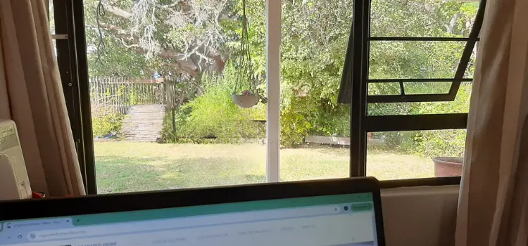 From my desk, view of my laptop - as a remote worker