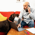 distractions dog