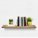 small shelf with books and plant