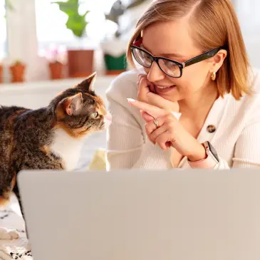 cat wanting cuddle from lady with laptop pet friendly home office