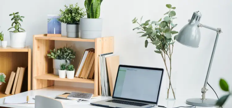 Wood metal laptop plants desk