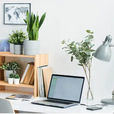 Feng Shui wood metal plants